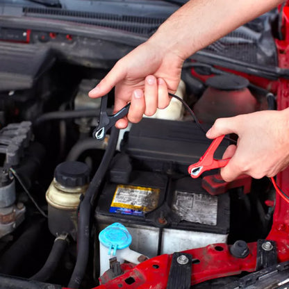 Caricabatterie per moto e Auto Smart 6V/12V -  ICE ENGINEERING